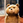 susumu_matsuda_machan