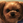 や
