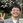 TAISEI Tosaki