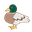 KatsumaMiyamoto