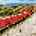 緑熊隆