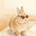 せりざわ
