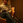 koji_joho