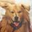 heytaro_
