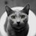 RussianBlue25