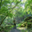 kataoka-tarao