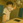 RinRin