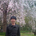 yasuhira_abekura
