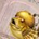 diaburo_HG