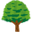 hackberry