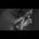 soichiro_nitta