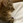 piddy