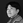Shuhei O