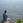 かっしー