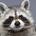 tanukiman_you