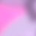 wlknts28786