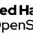 Red Hat Partnerワークショップ : OpenShift AI (2025年版
