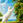 mimi_33_code