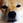 shinsuke_kamata
