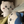 わたみょん