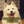 kimursp1