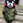 shipashipako