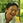 NaokiYoshimura
