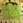 hide_zebra