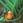 hideito2000