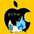 pchw