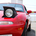 Kouki