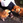 hirokazu_goto_501