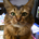 kunou