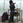 shindo_taito