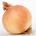 onionmk2
