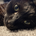 curon8co