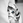 _whitecat_22