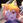suto_648