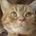 tys_tkbc