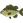 せいや