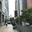 harupipin_303