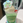 tanaka_2000