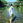 keishi_noda
