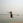 takashi_fujii