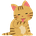 YM