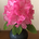 takami_uem