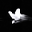 skyremt