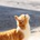tech_test