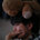 Shinya FUJITA