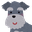 kyu-chan